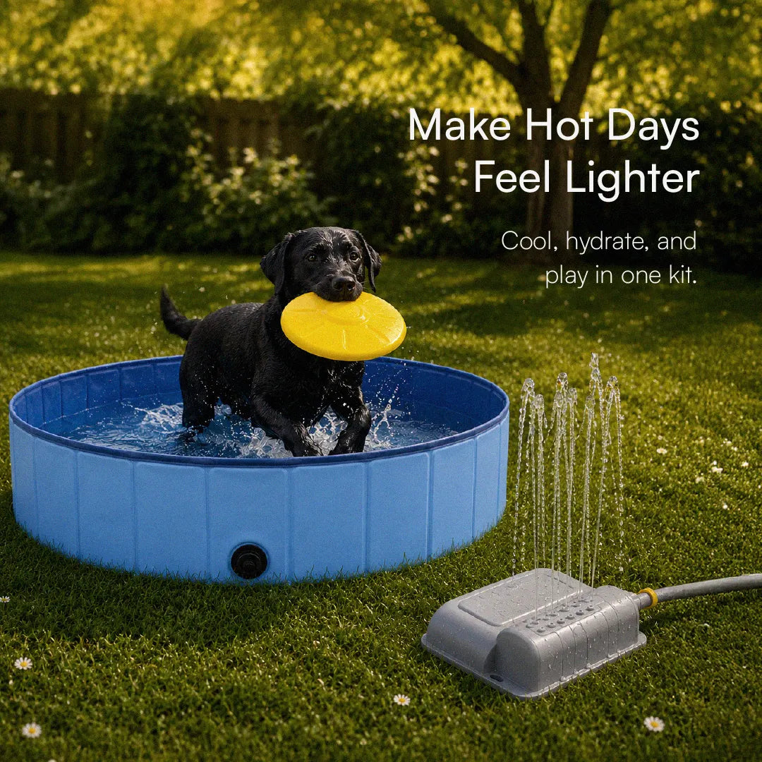Summer Splash Kit | Splash, Hydrate & Play