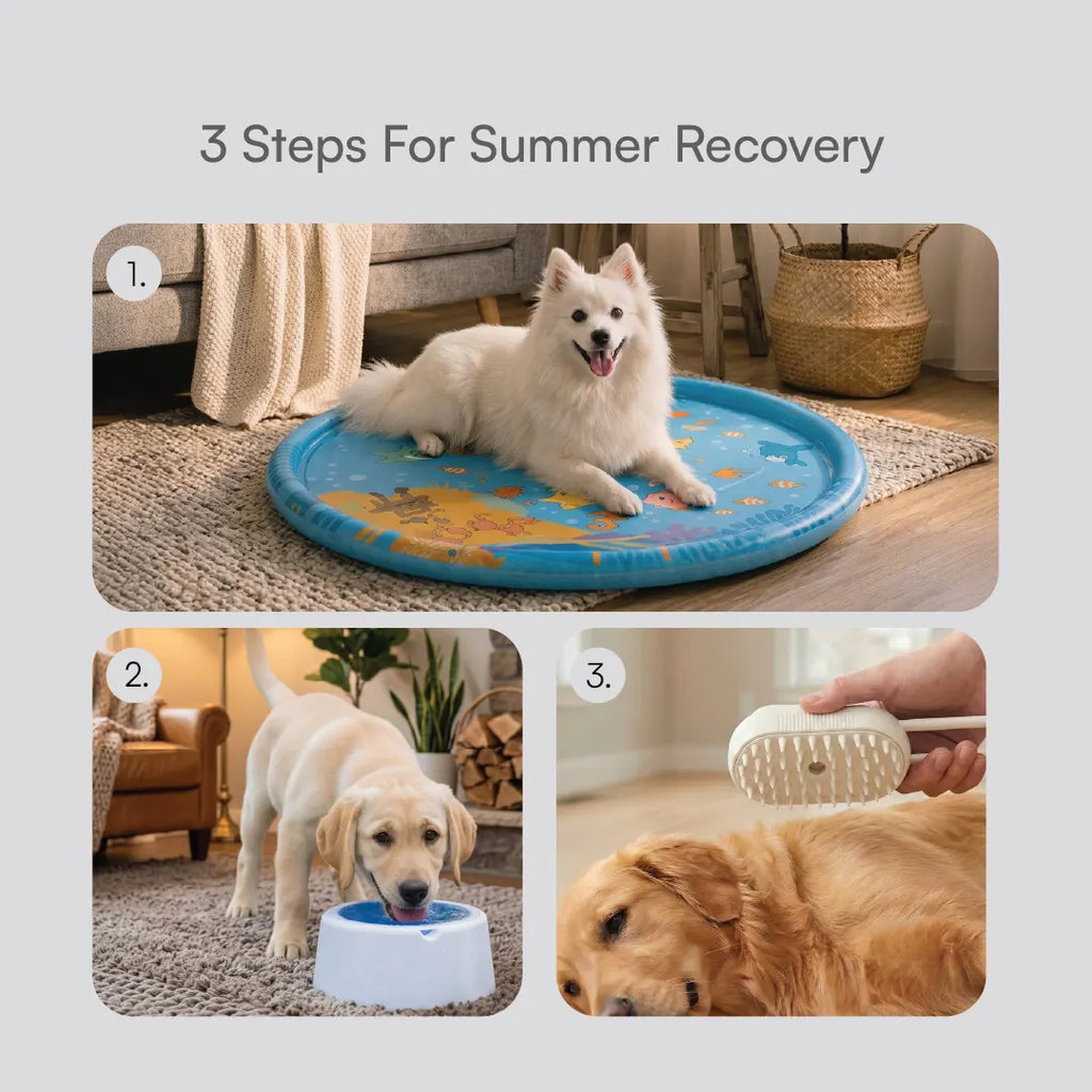Summer Recovery Kit | Cooling Care For Hot Days