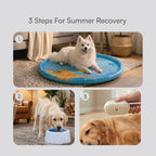 Summer Recovery Kit | Cooling Care For Hot Days
