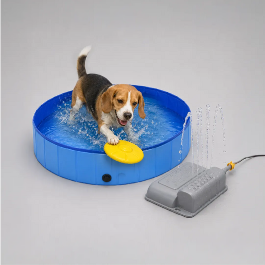 Summer Splash Kit | Splash, Hydrate & Play