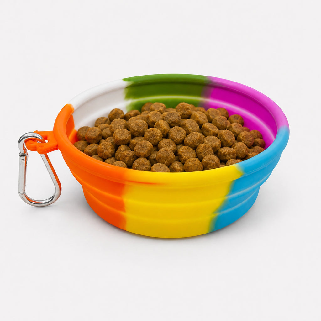 TravelSip Bowl