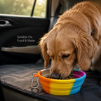 TravelSip Bowl