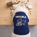 Matching Fit Combo – Stylish T-Shirt Combo for You & Your Pet