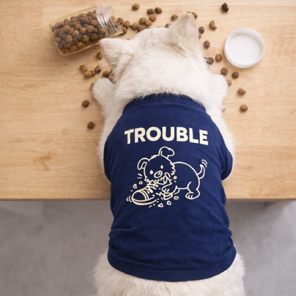 Matching Fit Combo – Stylish T-Shirt Combo for You & Your Pet