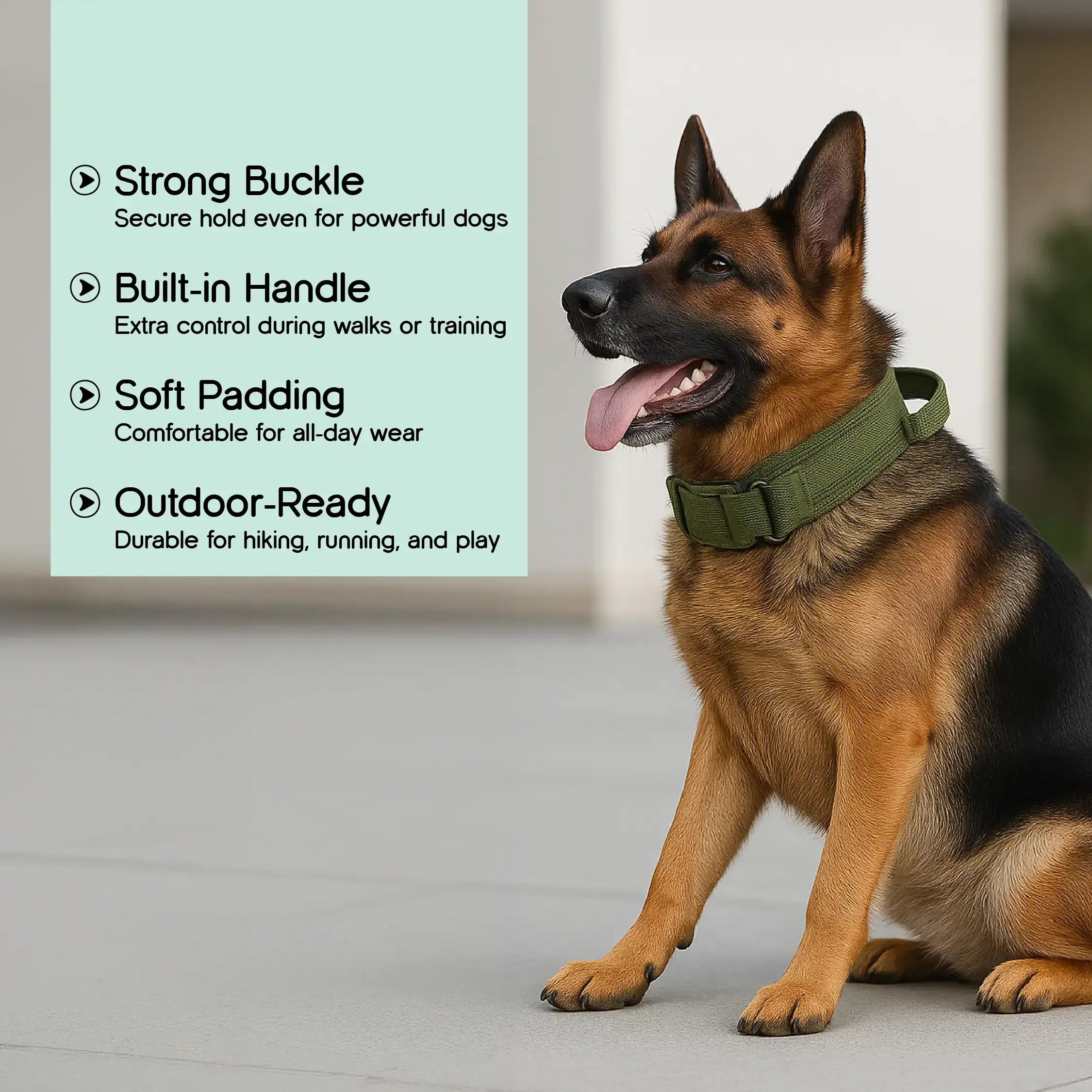 TitanK9 Tactical Collar | Secure Hold | Tactical Gear for Active Dogs - Tilting Heads