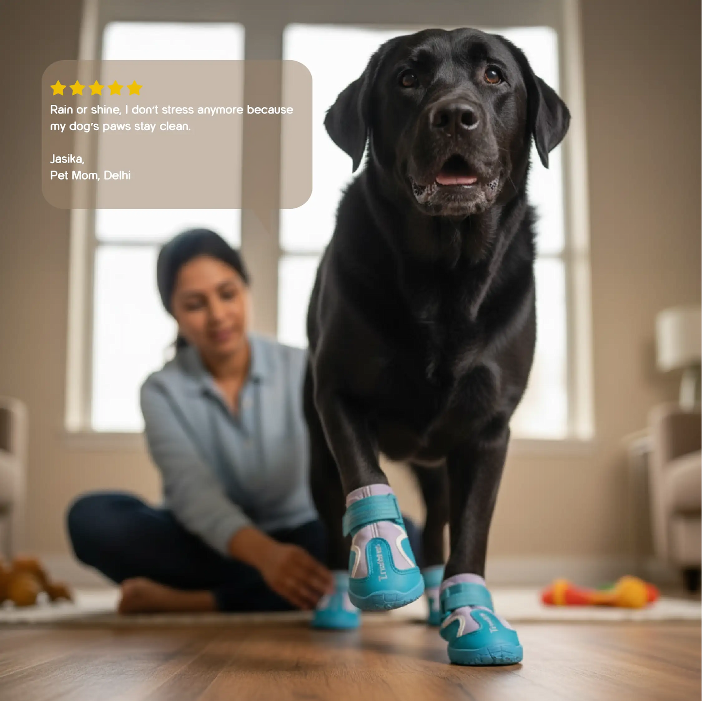 TerraGuard Boots | All-Weather Paw Protection | Secure Fit for Active Dogs