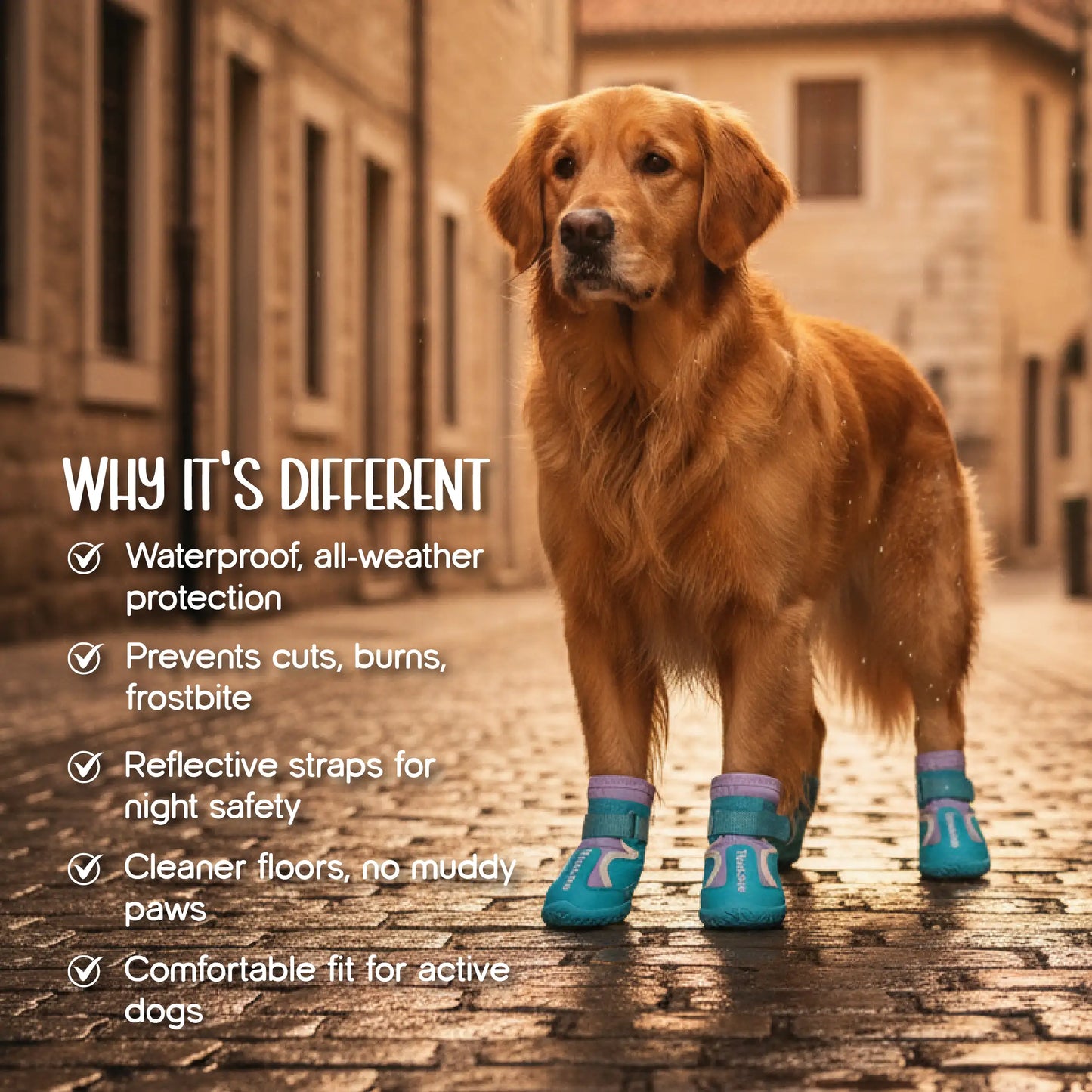 TerraGuard Boots | All-Weather Paw Protection | Secure Fit for Active Dogs