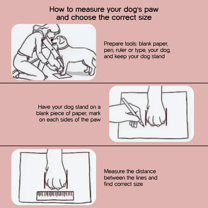 TerraGuard Boots | All-Weather Paw Protection | Secure Fit for Active Dogs - Tilting Heads