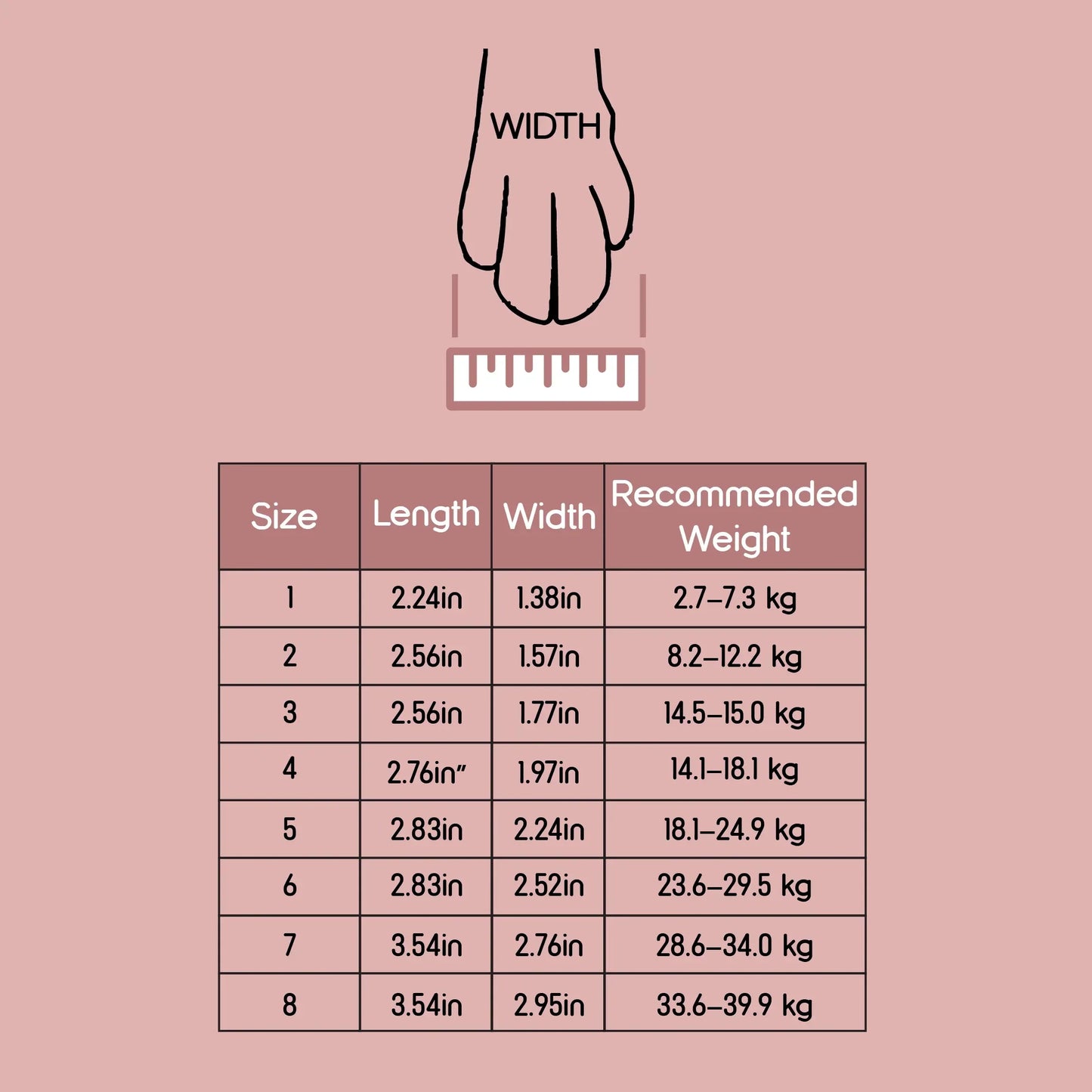 TerraGuard Boots | All-Weather Paw Protection | Secure Fit for Active Dogs - Tilting Heads