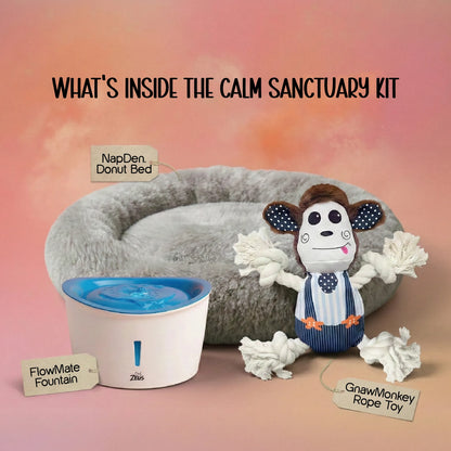 The Calm Sanctuary Kit – Holi Comfort & Care for Dogs & Cats