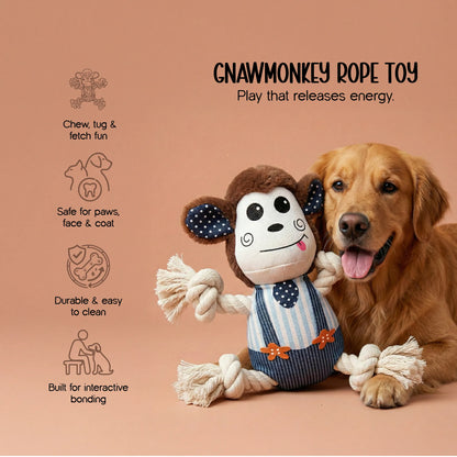 The Calm Sanctuary Kit – Holi Comfort & Care for Dogs & Cats