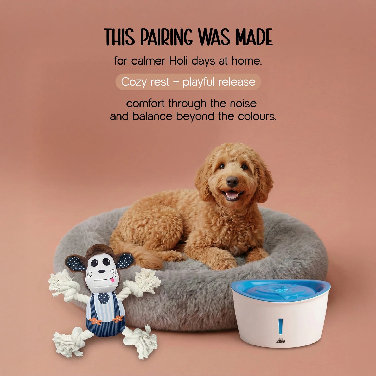 The Calm Sanctuary Kit – Holi Comfort & Care for Dogs & Cats