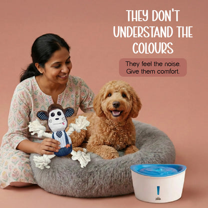 The Calm Sanctuary Kit – Holi Comfort & Care for Dogs & Cats