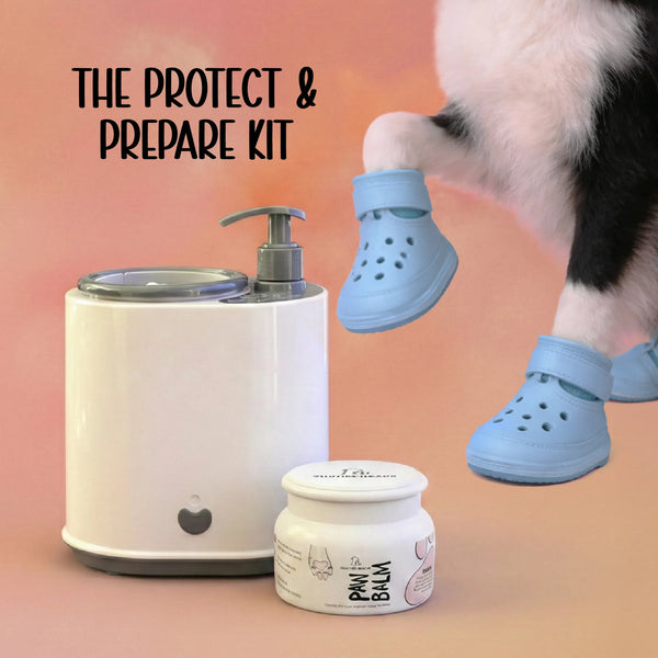 The Protect & Prepare Kit – Holi Paw Protection Essentials for Dogs & Cats