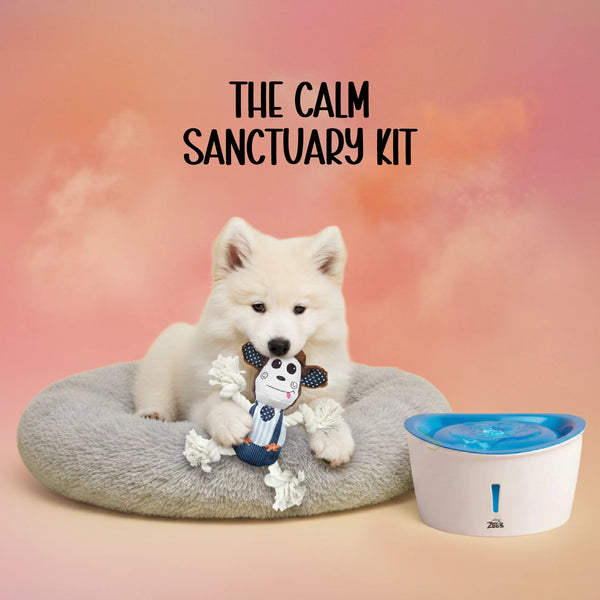 The Calm Sanctuary Kit – Holi Comfort & Care for Dogs & Cats