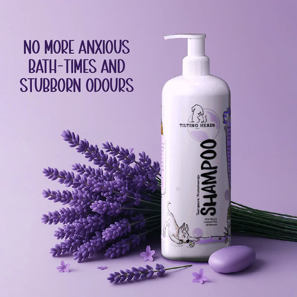 Therapeutic Aromatherapy Dog & Cat Shampoo - Tilting Heads - Tilting Heads