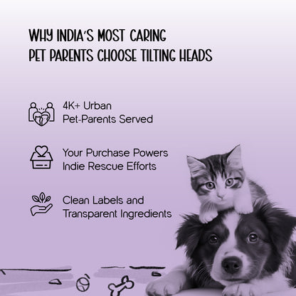 Therapeutic Aromatherapy Dog Shampoo - Tilting Heads
