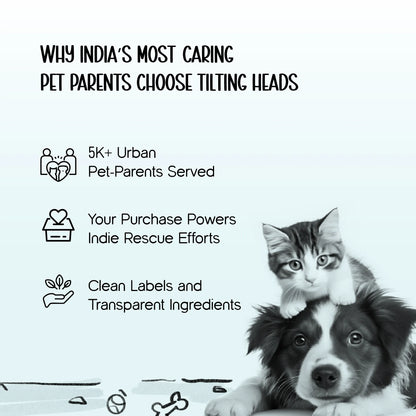 TrekPack Pet Carrier Bag – All-Season Comfort & Secure Carry