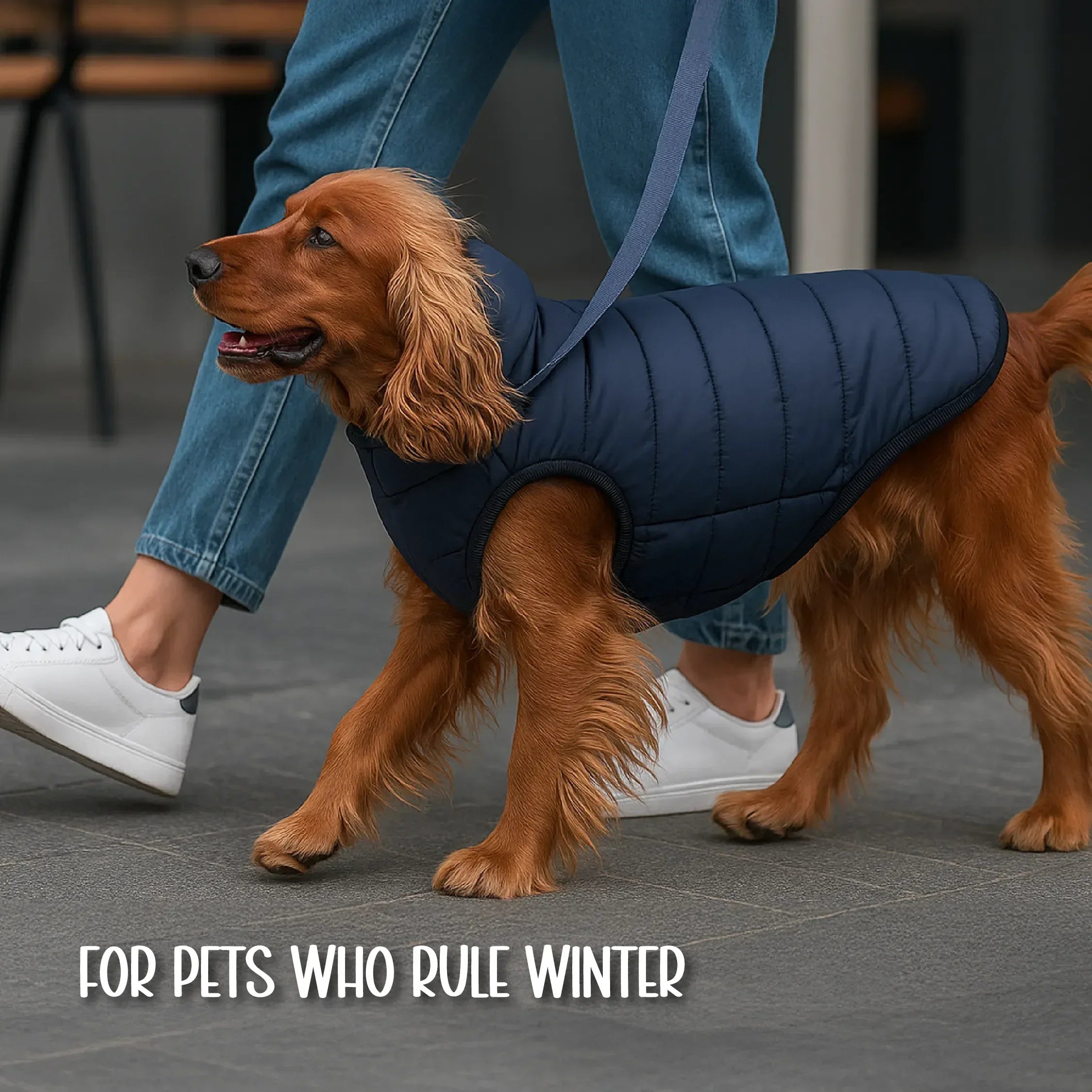 CalmFrost Puffer Jacket | Waterproof, Lightweight & Warm Dog Jacket | Winter Comfort & Style - Tilting Heads