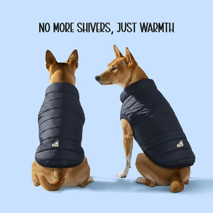 CalmFrost Puffer Jacket | Waterproof, Lightweight & Warm Dog Jacket | Winter Comfort & Style - Tilting Heads