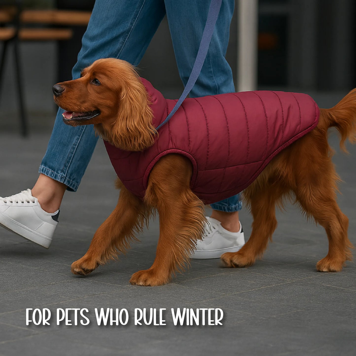 ThermaWrap Puffer Jacket | Waterproof, Lightweight & Warm Dog Jacket | Winter Comfort & Style
