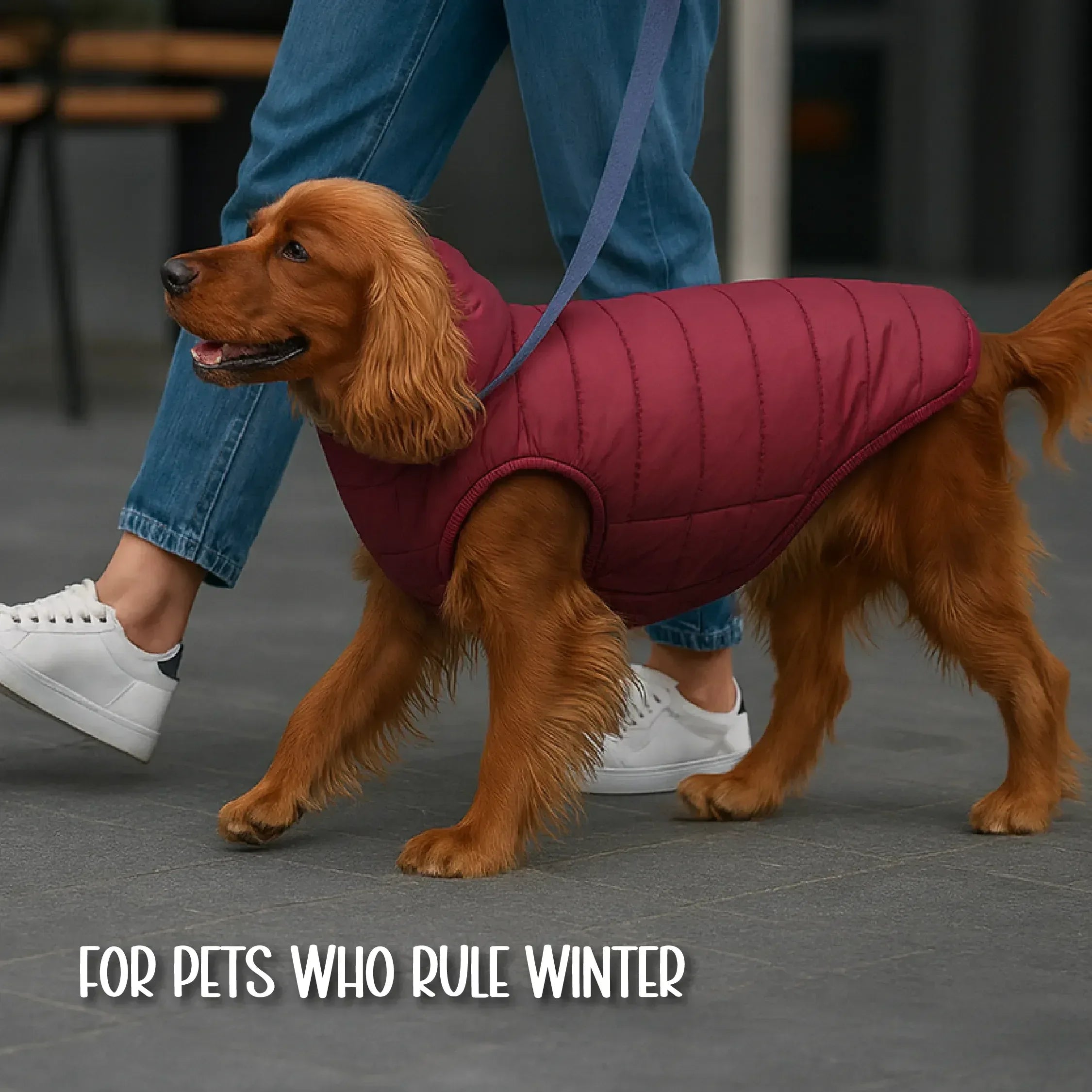 CalmFrost Puffer Jacket | Waterproof, Lightweight & Warm Dog Jacket | Winter Comfort & Style - Tilting Heads