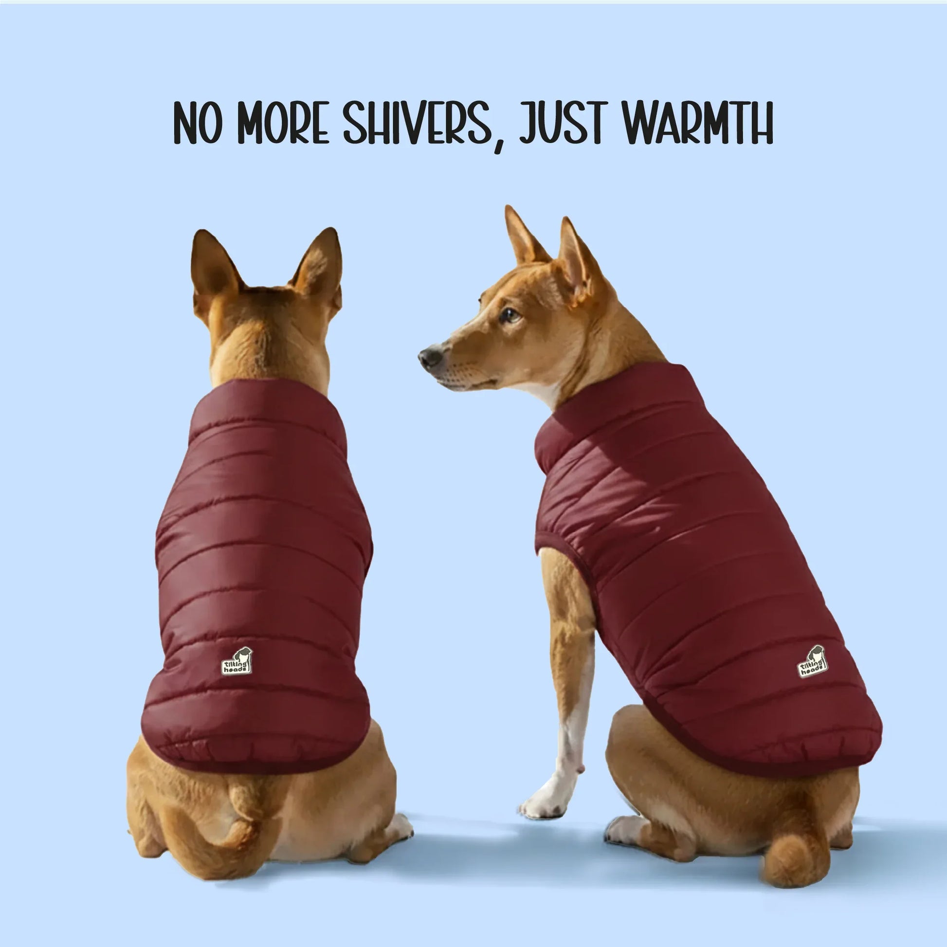 CalmFrost Puffer Jacket | Waterproof, Lightweight & Warm Dog Jacket | Winter Comfort & Style - Tilting Heads