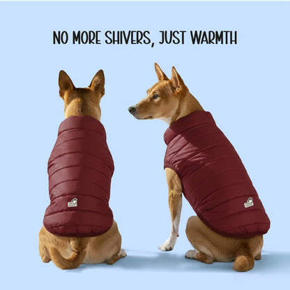 CalmFrost Puffer Jacket | Waterproof, Lightweight & Warm Dog Jacket | Winter Comfort & Style - Tilting Heads