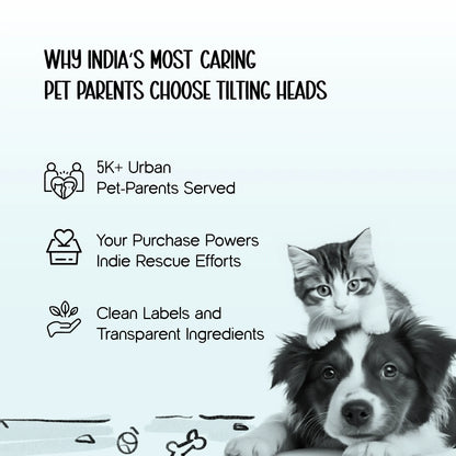 ThermaWrap Puffer Jacket | Waterproof, Lightweight & Warm Dog Jacket | Winter Comfort & Style