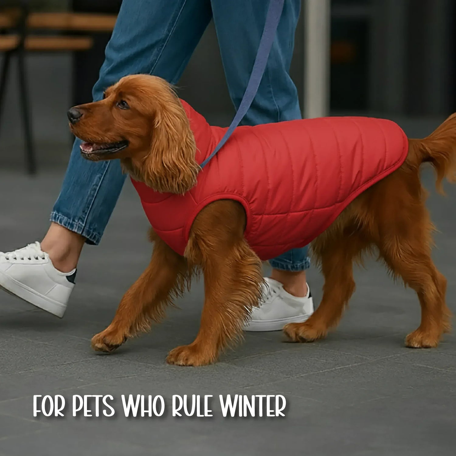 CalmFrost Puffer Jacket | Waterproof, Lightweight & Warm Dog Jacket | Winter Comfort & Style - Tilting Heads