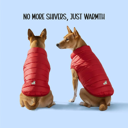 CalmFrost Puffer Jacket | Waterproof, Lightweight & Warm Dog Jacket | Winter Comfort & Style - Tilting Heads