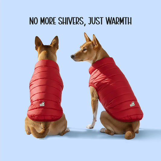 CalmFrost Puffer Jacket | Waterproof, Lightweight & Warm Dog Jacket | Winter Comfort & Style