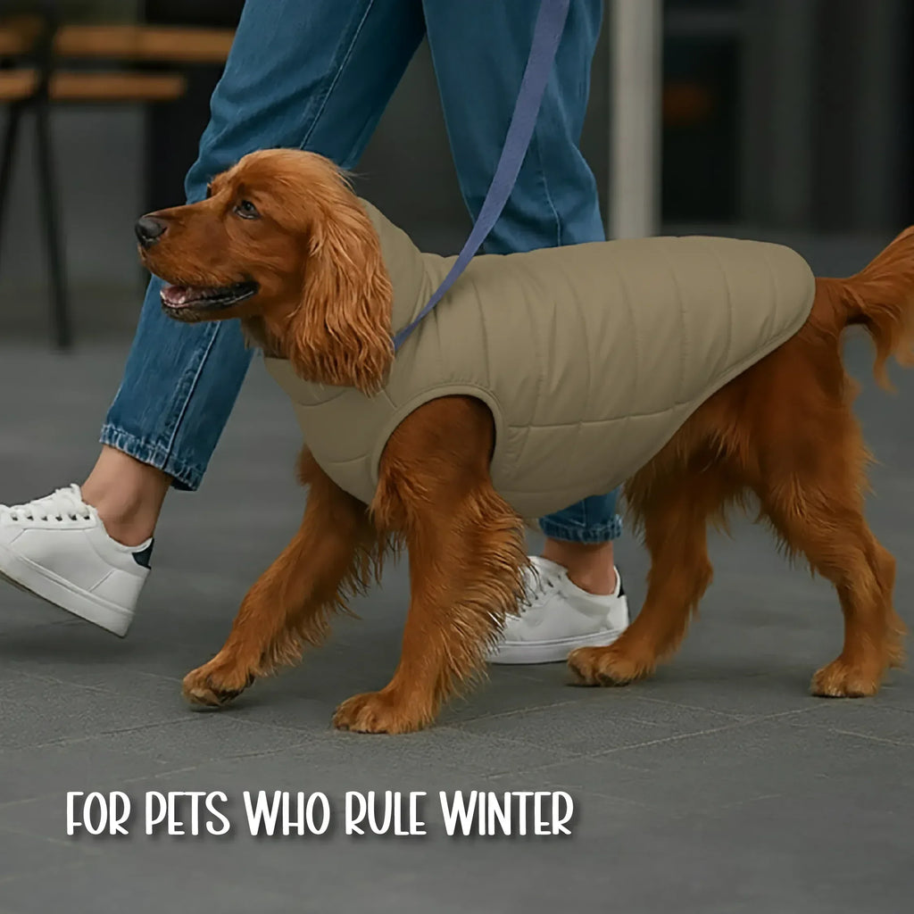 CalmFrost Puffer Jacket | Waterproof, Lightweight & Warm Dog Jacket | Winter Comfort & Style - Tilting Heads