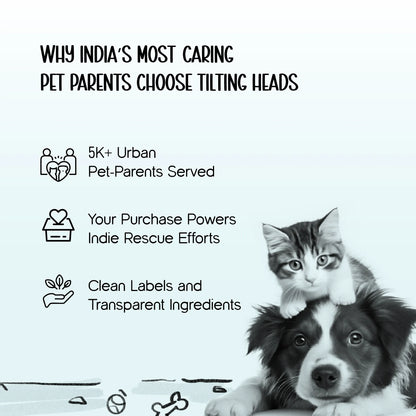 ThermaWrap Puffer Jacket | Waterproof, Lightweight & Warm Dog Jacket | Winter Comfort & Style