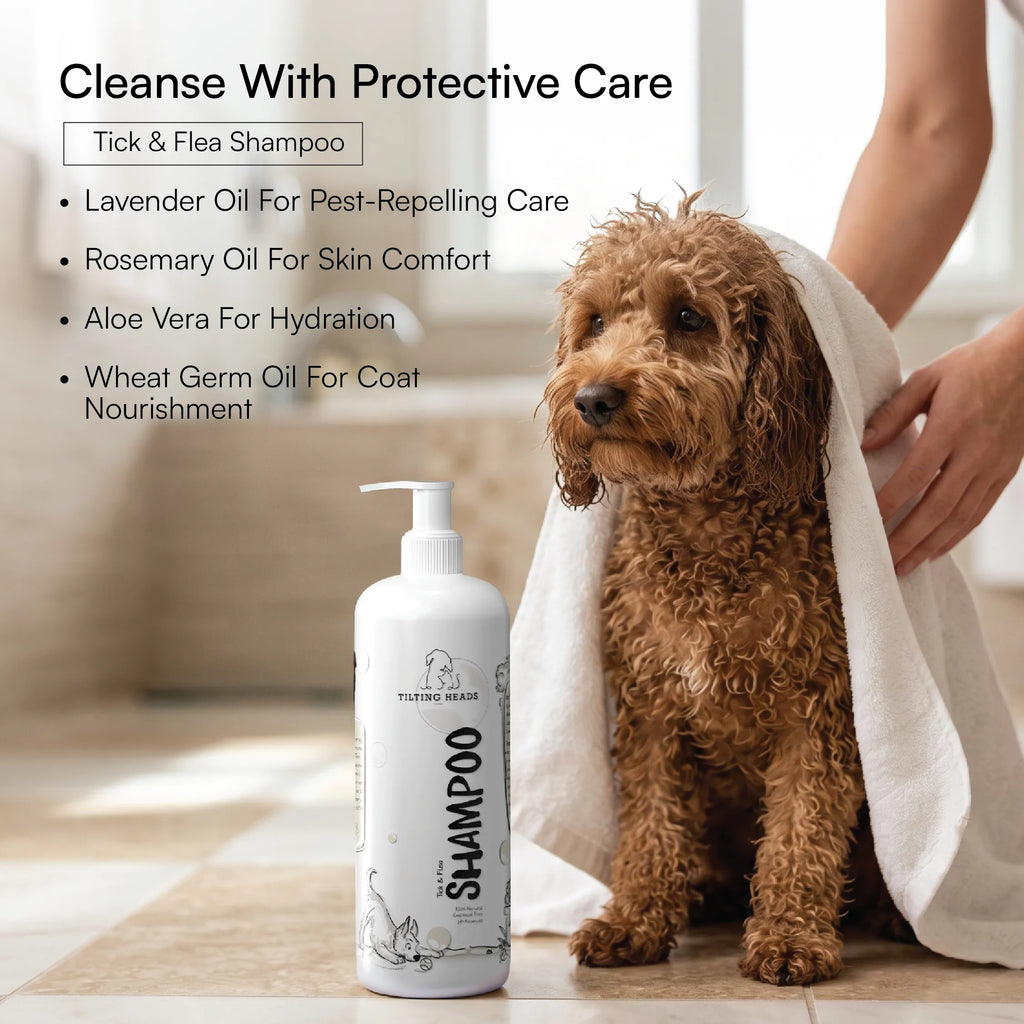 Tick & Flea Defense Kit for Dogs & Cats | Wash, Brush & Protect
