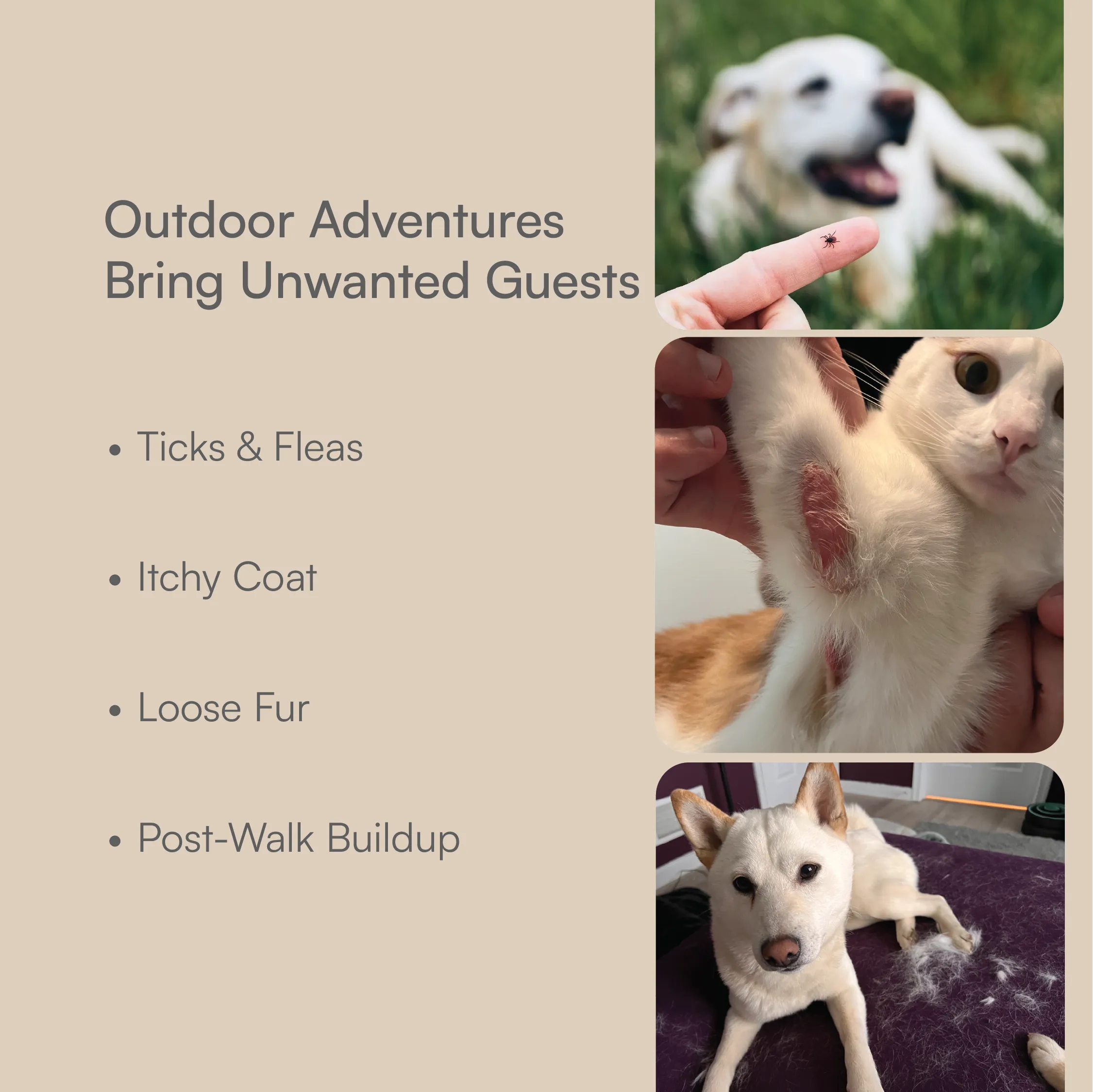 Tick & Flea Defense Kit for Dogs & Cats | Wash, Brush & Protect