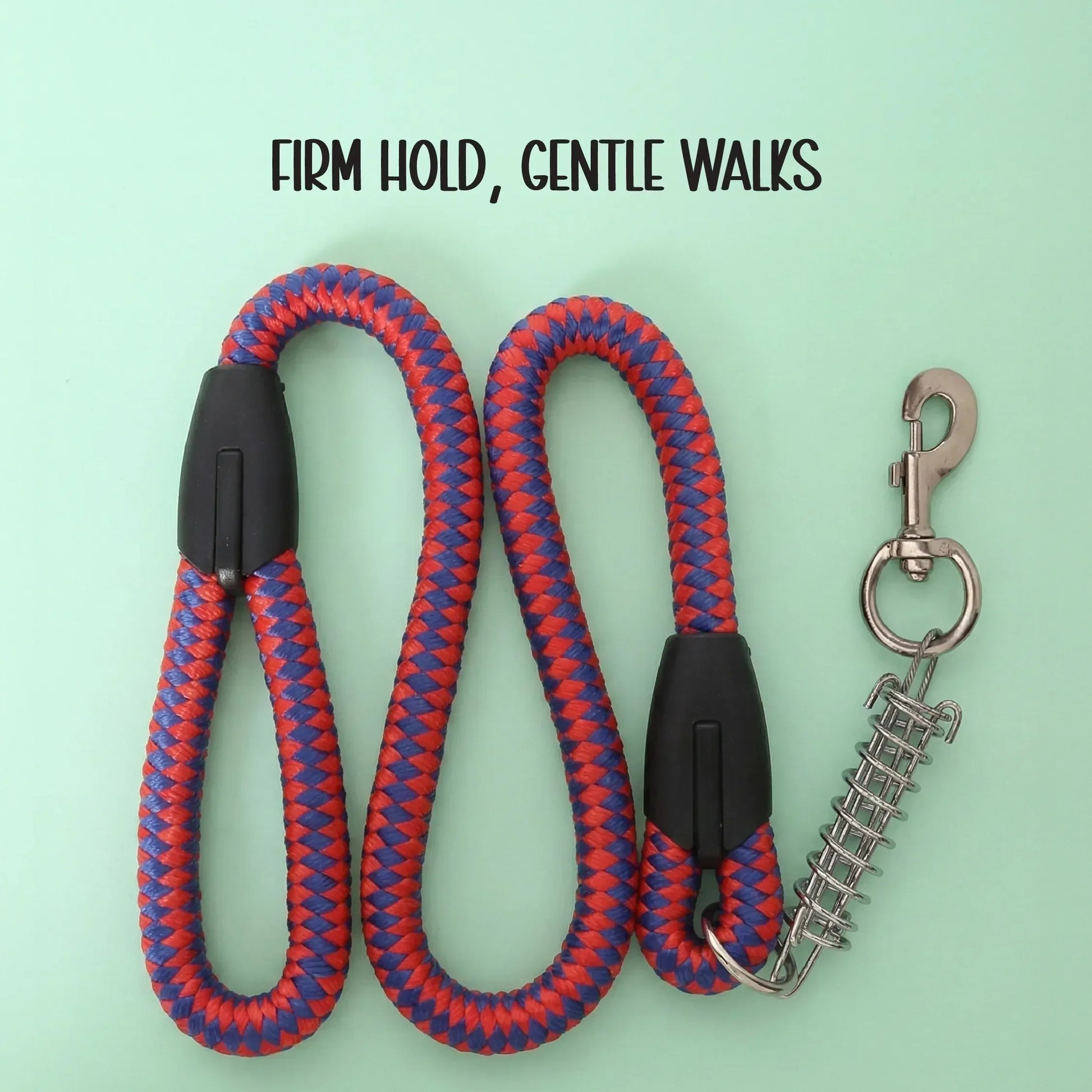 TitanGrip Leash | Buffer Spring Control | No-Jerk Walking - Tilting Heads