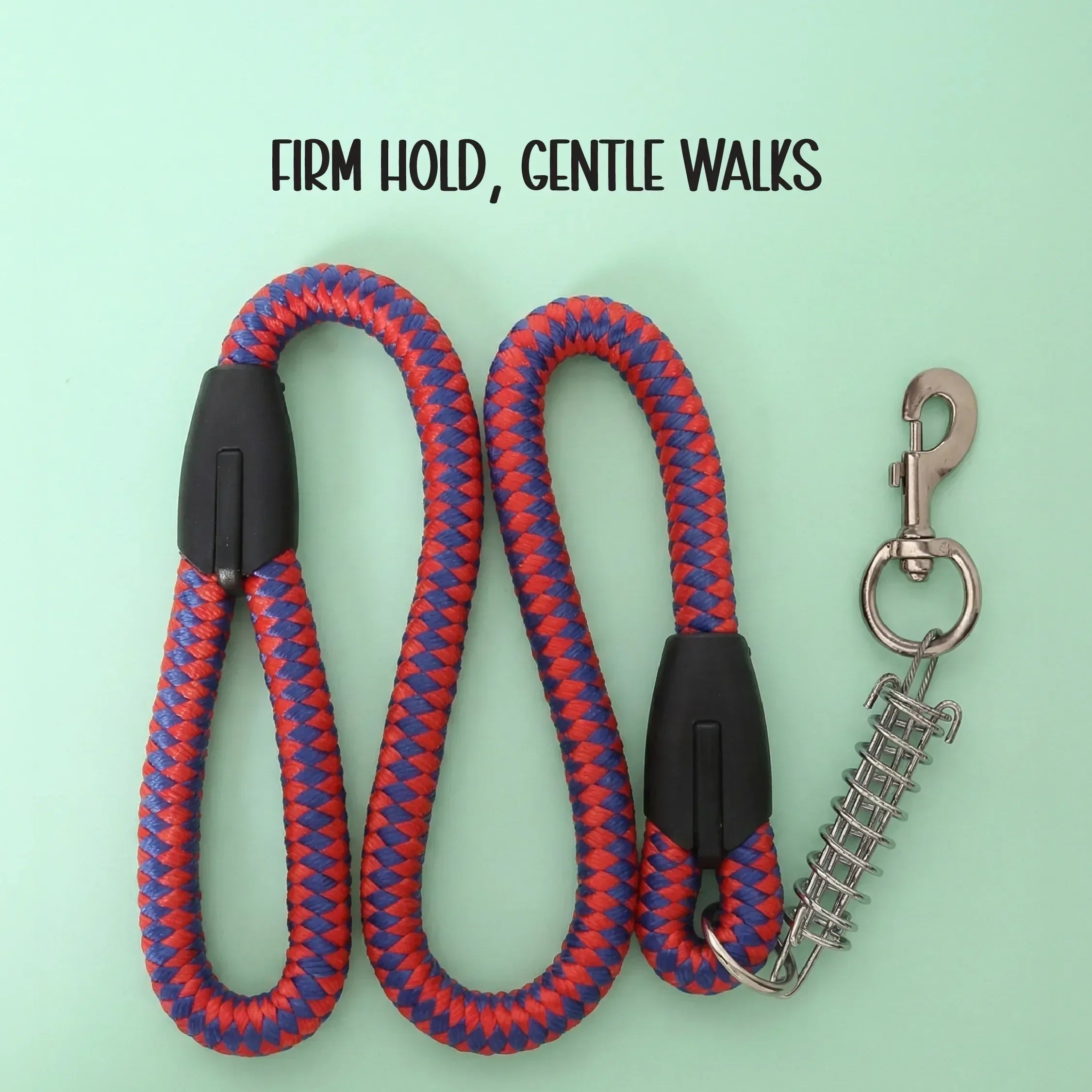 TitanGrip Leash | Buffer Spring Control | No-Jerk Walking - Tilting Heads