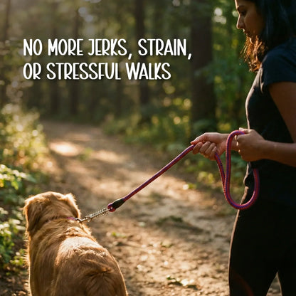 TitanGrip Leash | Buffer Spring Control | No-Jerk Walking - Tilting Heads