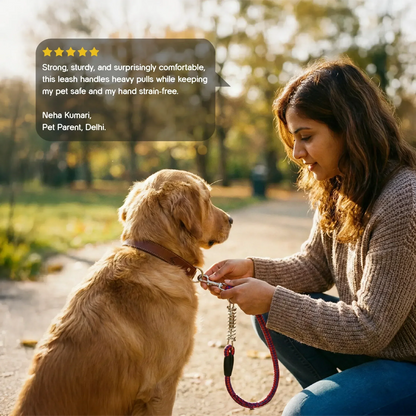 TitanGrip Leash | Buffer Spring Control | No-Jerk Walking - Tilting Heads