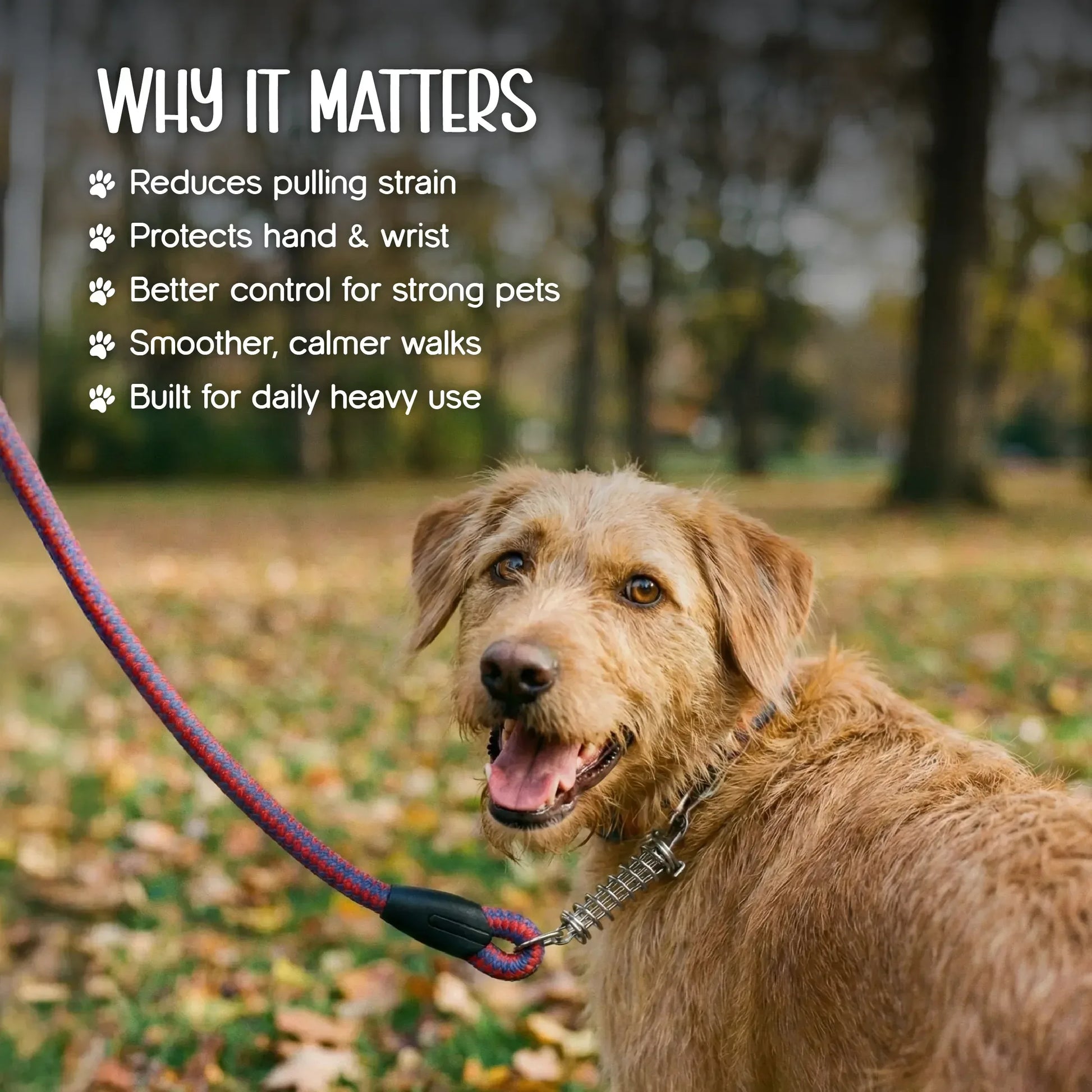 TitanGrip Leash | Buffer Spring Control | No-Jerk Walking - Tilting Heads
