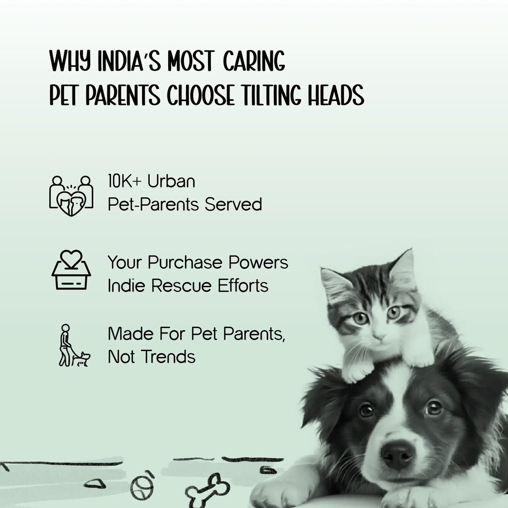 TitanGrip Leash | Buffer Spring Control | No-Jerk Walking - Tilting Heads