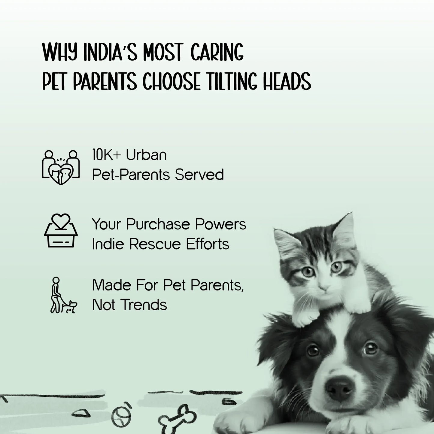 TitanGrip Leash | Buffer Spring Control | No-Jerk Walking - Tilting Heads