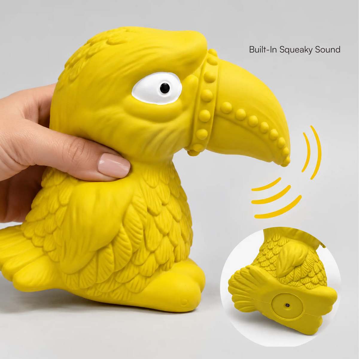 Toucan Squeaky Toy