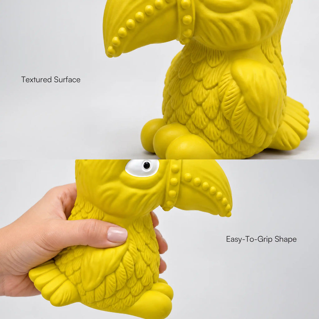 Toucan Squeaky Toy