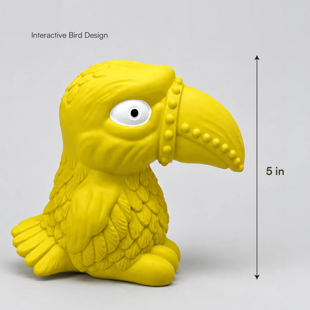 Toucan Squeaky Toy