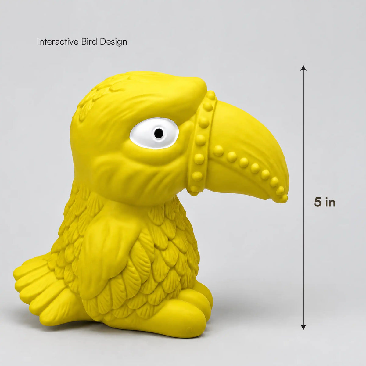 Toucan Squeaky Toy
