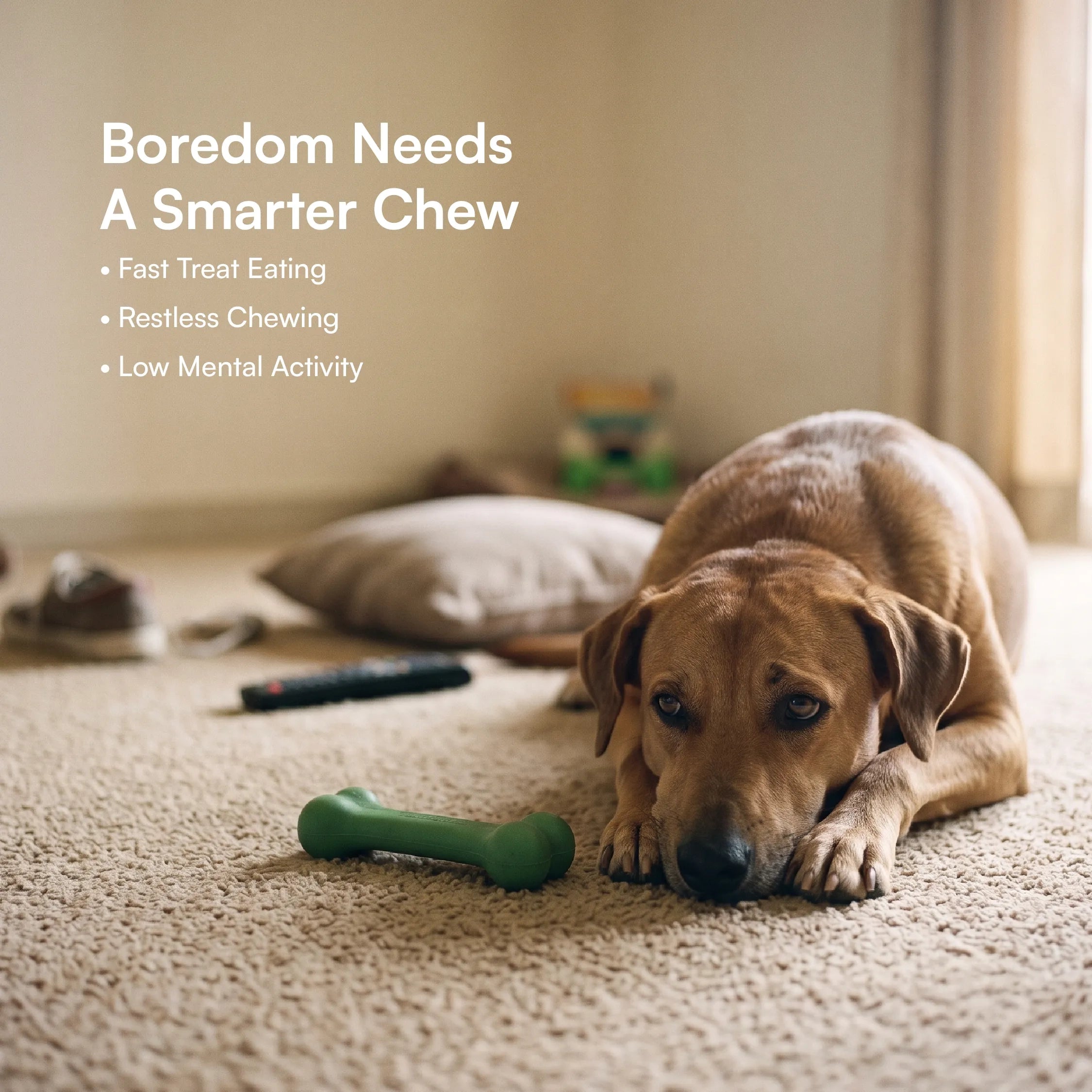 Treatzilla Toy – Interactive Treat Feeder Chew Toy For Dogs