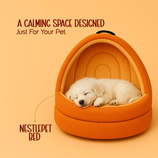 NestlePet Bed | Premium Velvet Touch with Removable Cushion