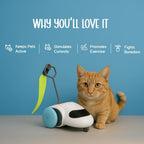 ZoomiChase Toy – Smart Motion Chase Toy for Curious, Active Pets - Tilting Heads